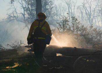 The U.S. Is Now At Its Worst Level of Wildfire Preparedness. What Does That Mean?