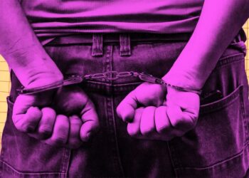 High School Teacher Arrested for Clapping in Support of Anti-Data Center Activists