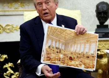 Onlookers dumbfounded at celebrity Trump touts as fan of White House makeover