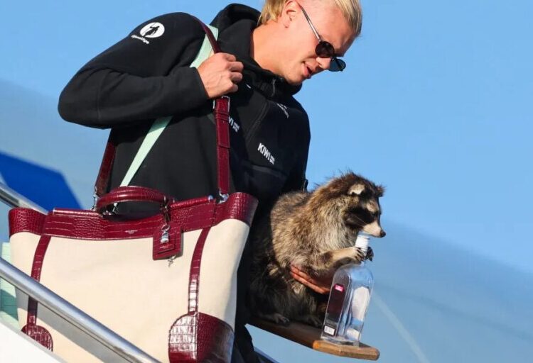 The Erling Haaland boom: Norway’s ‘pop-up economy’ during the World Cup revealed in Visa data