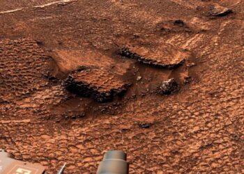 NASA Mars Rover Discovers Field of Mesmerizing Polygons