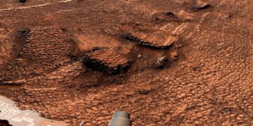 NASA Mars Rover Discovers Field of Mesmerizing Polygons