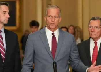 ‘I wish it were that easy’: Republican senator swats down Trump threats