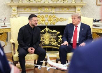 Zelensky Asked Trump for a Favor From Elon Musk