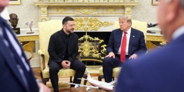 Zelensky Asked Trump for a Favor From Elon Musk