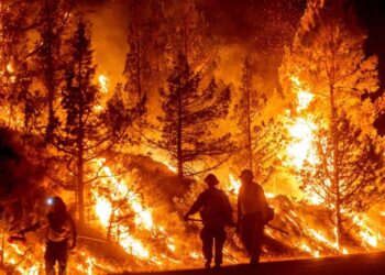 Photos of the Week: Heat Wave, Buck Moon, Alphorn Ensemble