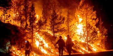 Photos of the Week: Heat Wave, Buck Moon, Alphorn Ensemble