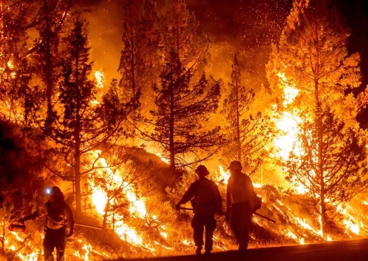 Photos of the Week: Heat Wave, Buck Moon, Alphorn Ensemble