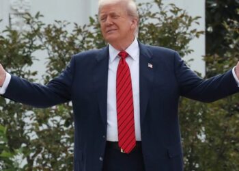 ‘I see how Hitler happened!’ Devastating supercut shows MAGA rejecting Trump