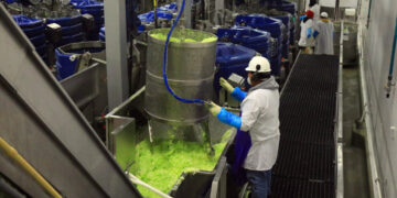 Taylor Farms to Remove Some Products After Link to Cyclospora Cases