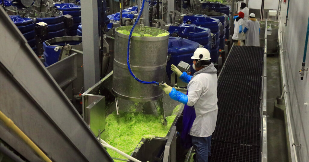 Taylor Farms to Remove Some Products After Link to Cyclospora Cases