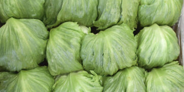 Taylor Farms to Remove Some Products After Link to Cyclosporiasis Cases