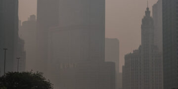 Deaths From Wildfire Smoke Have Risen Globally