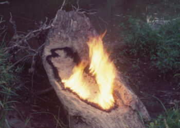 The Burning, Bleeding, Breathing Art of Ana Mendieta