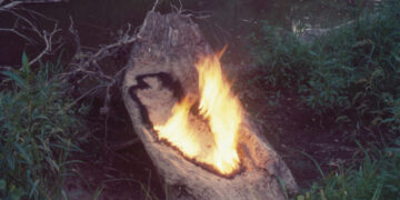 The Burning, Bleeding, Breathing Art of Ana Mendieta