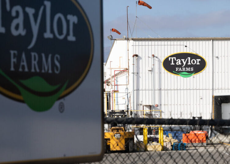 Taylor Farms Expands Iceberg Lettuce Recall to 27 States