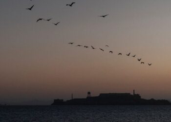 Mourning One Tragedy at Sea, a Family Is Devastated by Another