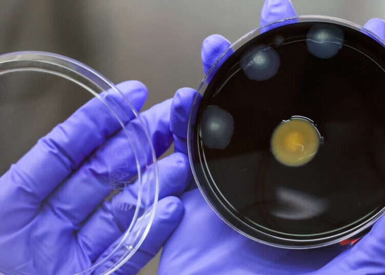 Second Patient Dies in Outbreak of Legionnaires’ Disease in Manhattan