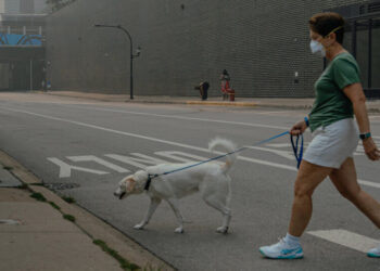 When Will the Wildfire Smoke Clear?