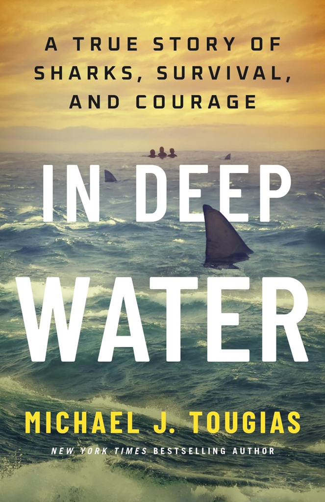 Cover of 