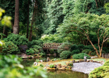 7 Gardens So Serene, You Won’t Believe They’re in the City