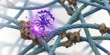 Can This New Enzyme Turn Back the Clock in the Human Body?