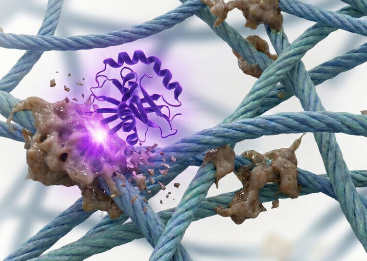 Can This New Enzyme Turn Back the Clock in the Human Body?