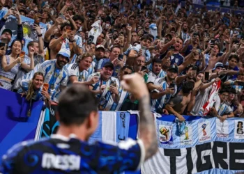 Fans Flocked to World Cup Host Cities—Causing 80 Percent of the Tournament’s Emissions