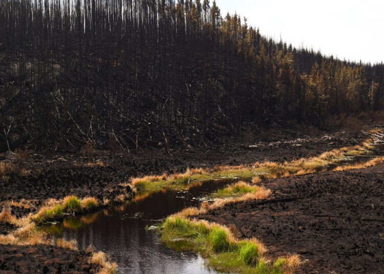 ‘Help Never Came.’ Canadian Wildfire Evacuees Want to Know Why.