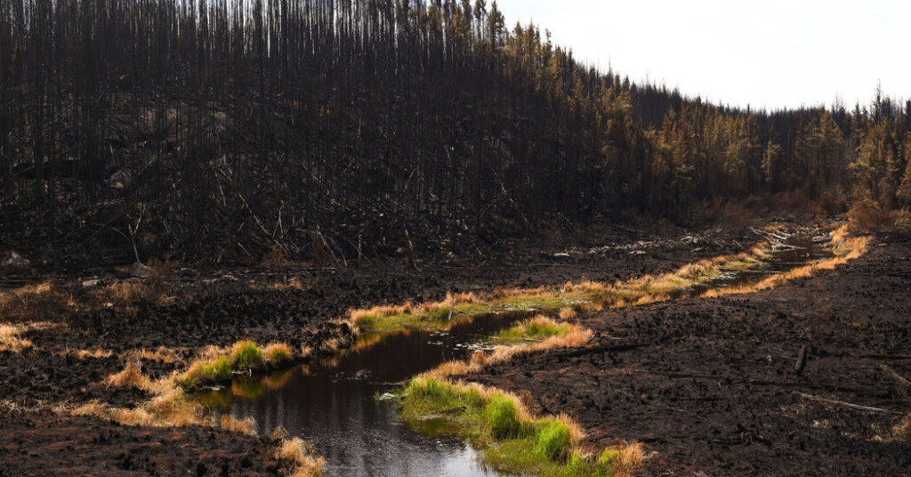 ‘Help Never Came.’ Canadian Wildfire Evacuees Want to Know Why.