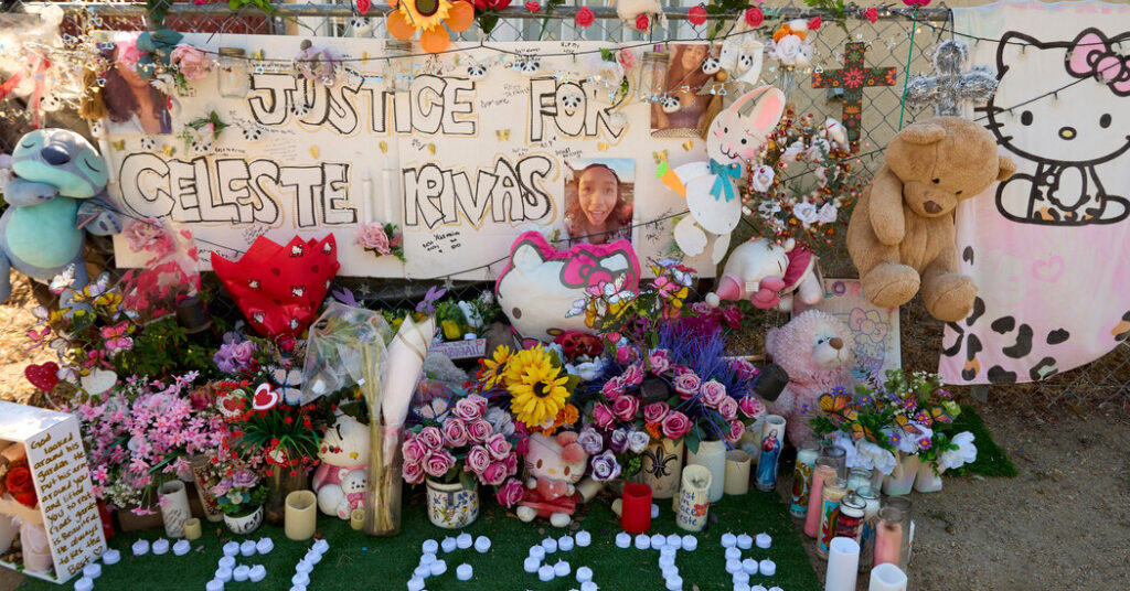 Medical Examiner in D4vd Murder Case Describes Body in Graphic Testimony