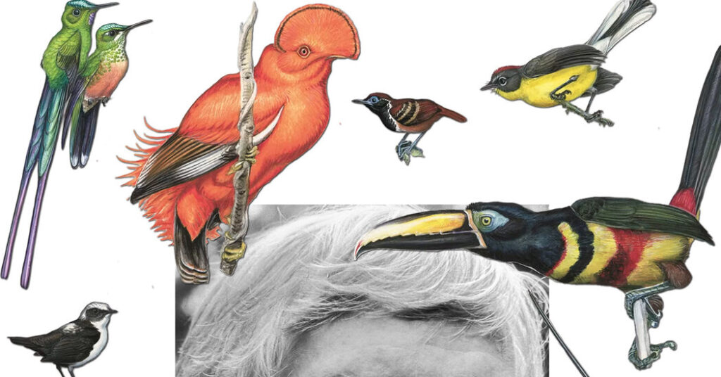 Guy Tudor, Whose Art Brought Obscure Birds to Life, Dies at 91