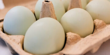 Nearly 100 Cases of Salmonella Tied to Voluntary Recall of 19 Million Eggs