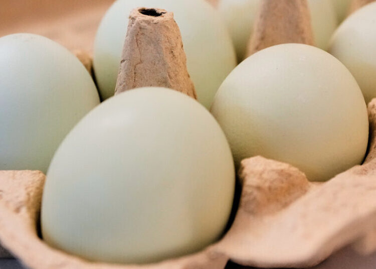 Nearly 100 Cases of Salmonella Tied to Voluntary Recall of 19 Million Eggs