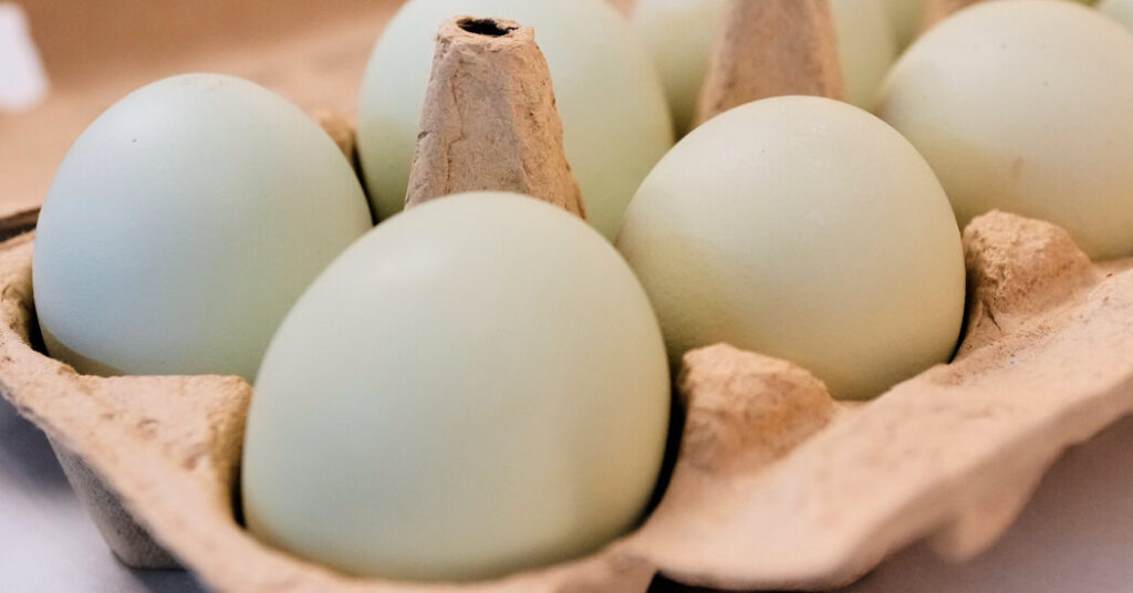 Nearly 100 Cases of Salmonella Tied to Voluntary Recall of 19 Million Eggs