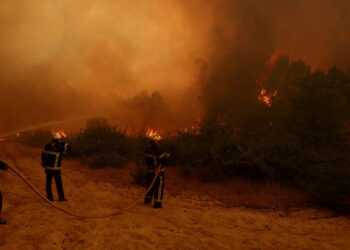 What to Know About the Wildfires Raging in Western Europe