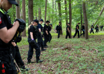 Berlin Police Search for Suspect in Fatal Attack on Pride Parade