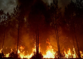As Communities Unite Against Europe’s Wildfires, Politicians Trade Blows