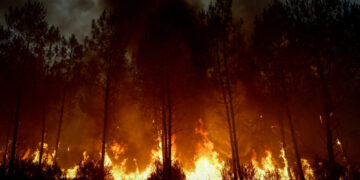 As Communities Unite Against Europe’s Wildfires, Politicians Trade Blows