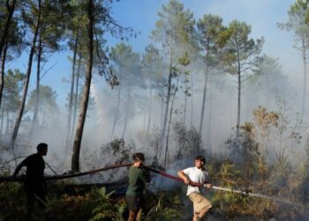 Broiling Weather Threatens Further Spread of Fires in France and Spain