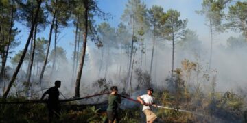 Broiling Weather Threatens Further Spread of Fires in France and Spain