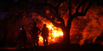 France and Spain Race to Tamp Down Wildfires Before Heat Wave Hits