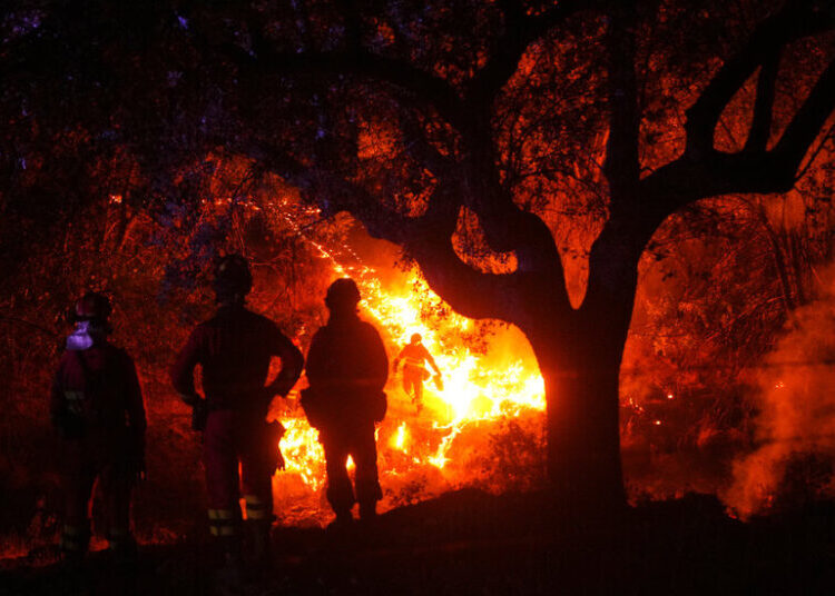 France and Spain Race to Tamp Down Wildfires Before Heat Wave Hits