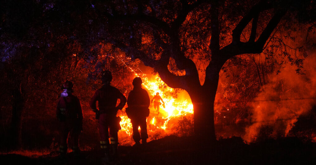 France and Spain Race to Tamp Down Wildfires Before Heat Wave Hits