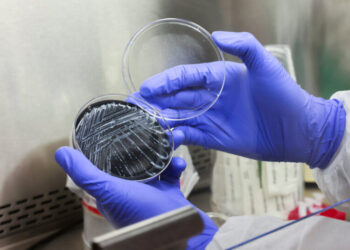 First Patient Dies of Legionnaires’ Disease After New York Outbreak