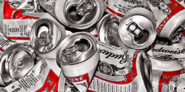A Six-Pack of Beer Might Close a Constitutional Loophole