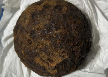 T.S.A. Finds 5 Civil War Cannonballs in Passenger’s Luggage in Alabama