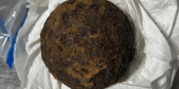 T.S.A. Finds 5 Civil War Cannonballs in Passenger’s Luggage in Alabama