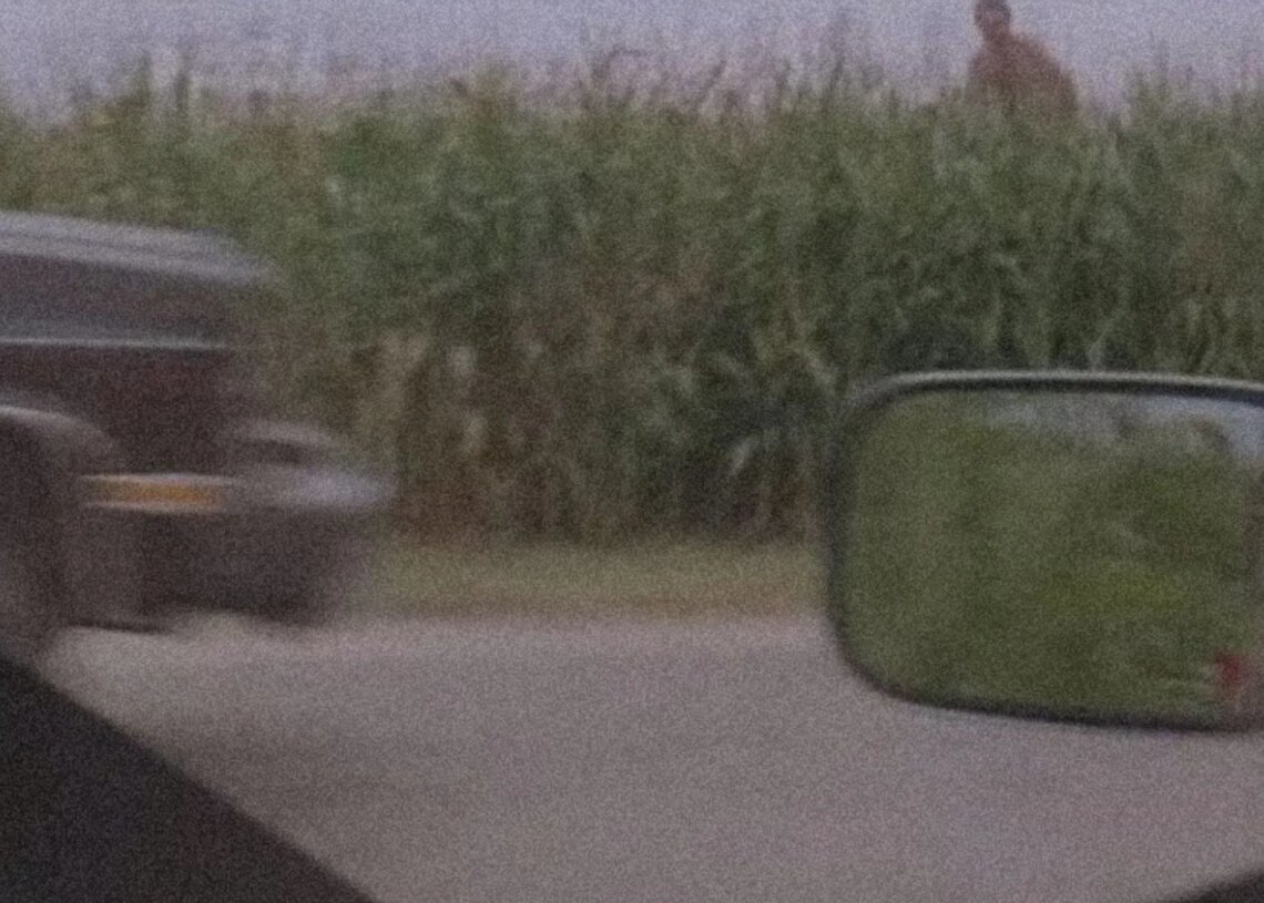 30 Years Ago, a Random Naked Guy Ended Up in ‘Twister,’ and We Still Don’t Know Why