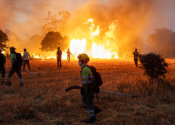 Earth’s Warming Primed France and Spain to Burn, Scientists Find